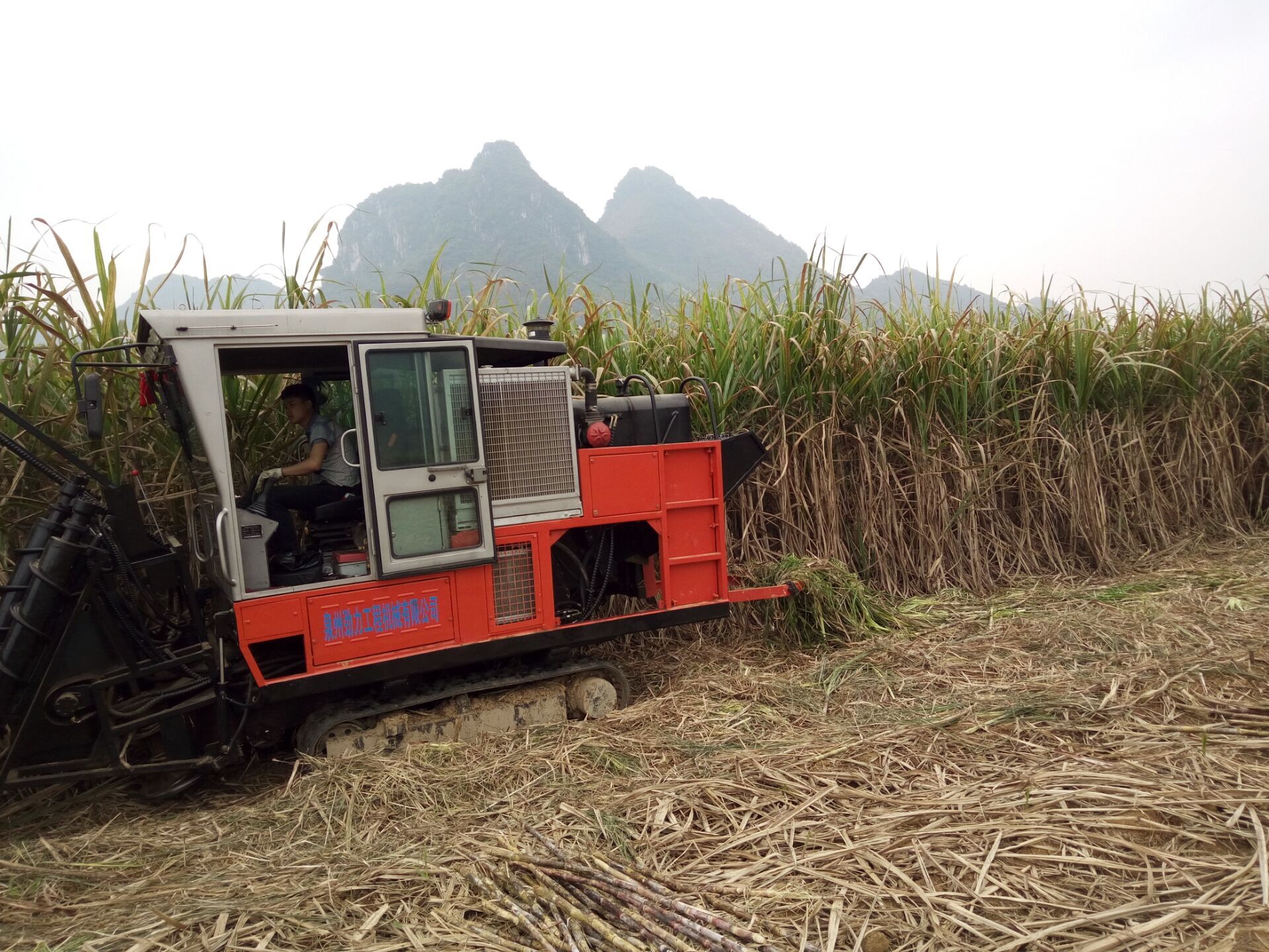 JingGong 4GL-1 mía xe chở gỗ nhận được lời khen ngợi từ Philippines khách hàng